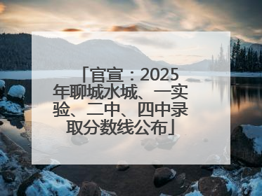 官宣：2025年聊城水城、一实验、二中、四中录取分数线公布